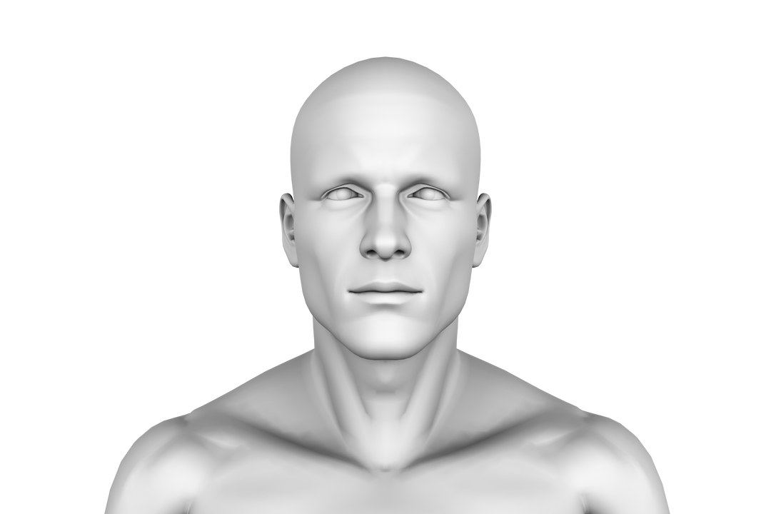 Digital 3D Model of Human Head and Shoulders on Transparent Background - Download Free Stock Images Pikwizard.com