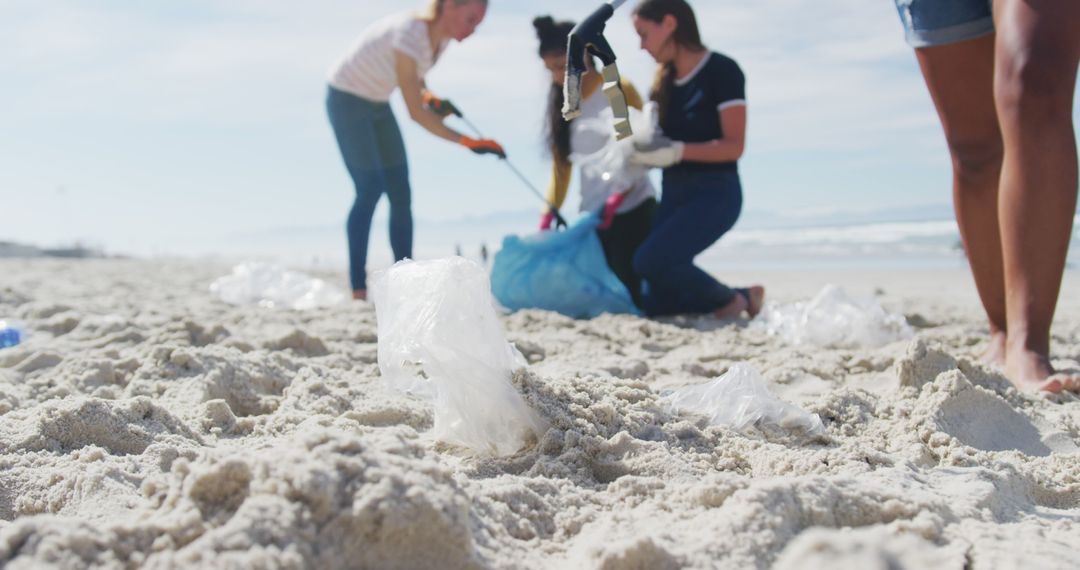 Group of Volunteers Cleaning Plastic Waste on Beach - Free Images, Stock Photos and Pictures on Pikwizard.com