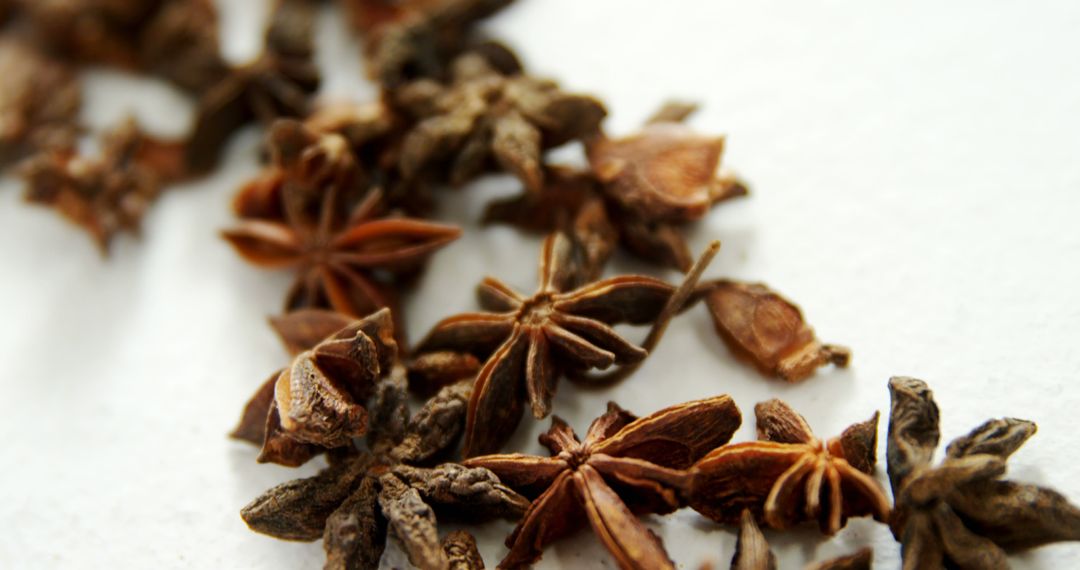 Close-up of Star Anise Spice on White Background - Free Images, Stock Photos and Pictures on Pikwizard.com