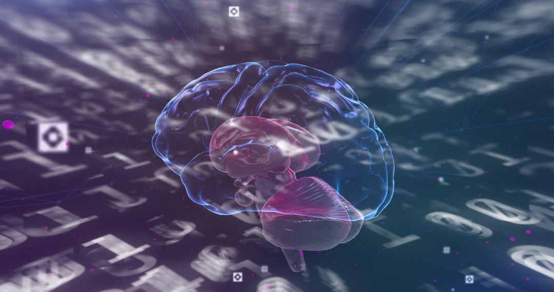 Rotating Digital Brain Overlay with Dynamic Binary Code - Free Images, Stock Photos and Pictures on Pikwizard.com