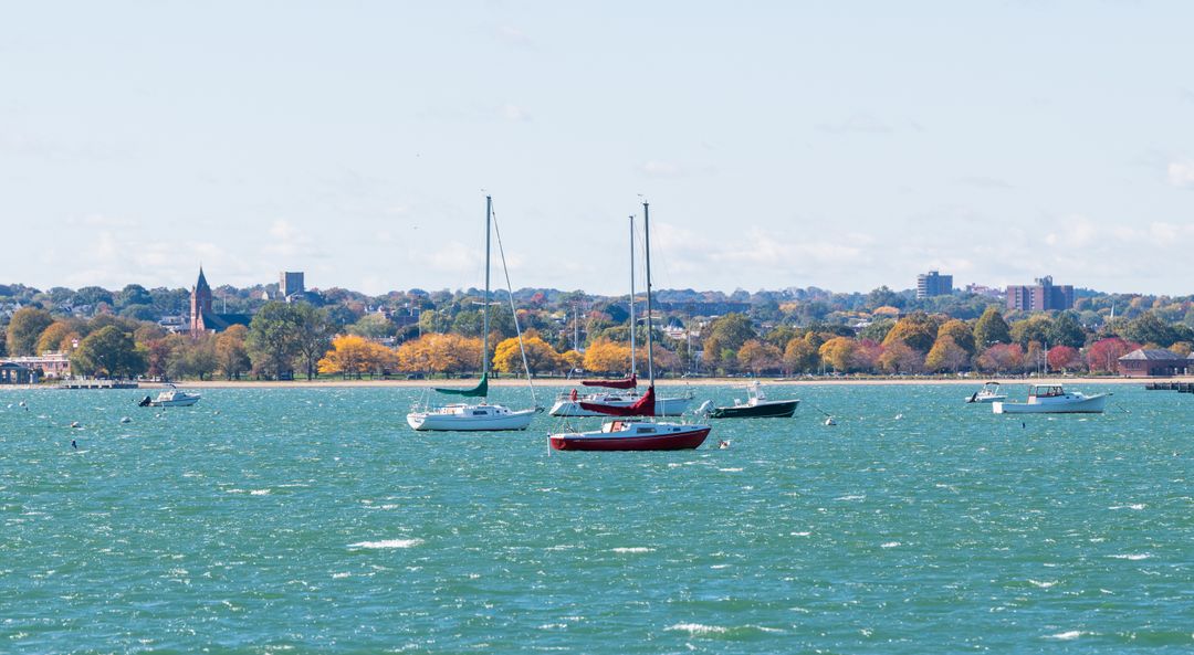 Sailboats Anchored in Panoramic Harbor View