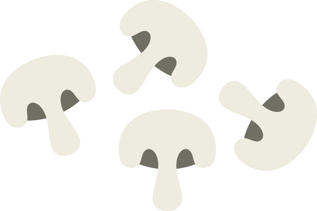 Floating Stylized Mushroom Slices on Transparent Background