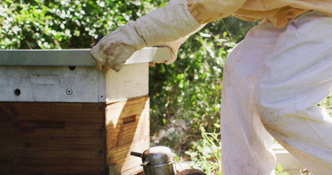 Caucasian male beekeeper in protective clothing opening beehive - Free Images, Stock Photos and Pictures on Pikwizard.com