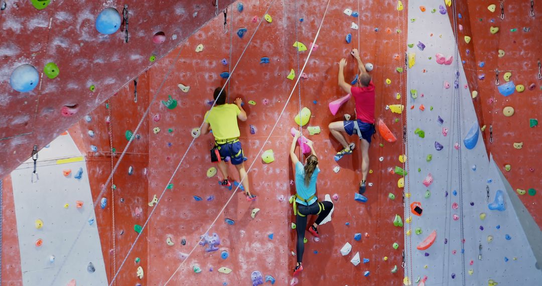 Group of Climbers Ascending Indoor Rock Climbing Wall - Free Images, Stock Photos and Pictures on Pikwizard.com