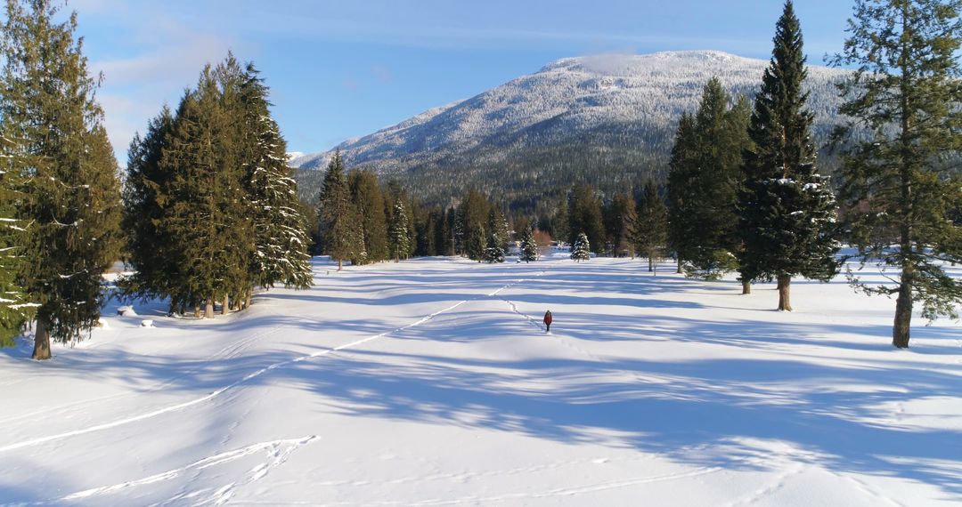 Snowy Winter Landscape with Majestic Mountain in Background - Free Images, Stock Photos and Pictures on Pikwizard.com