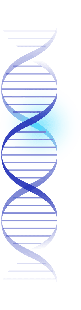 Flat Design DNA Double Helix on Transparent Background