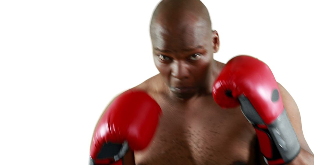 Determined Boxer with Red Gloves in Defensive Stance on White Background - Free Images, Stock Photos and Pictures on Pikwizard.com