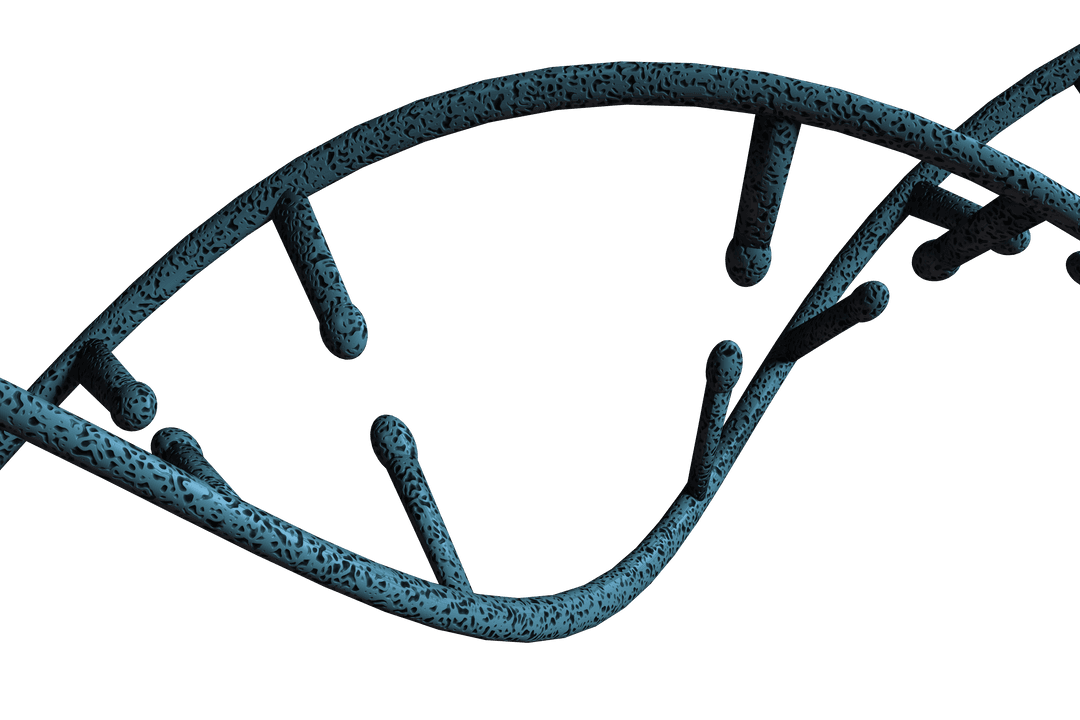 Digital Transparent DNA Strand on Isolated Background