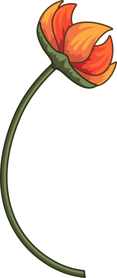 Stylized Transparent Orange Tulip on Curved Stem Illustration