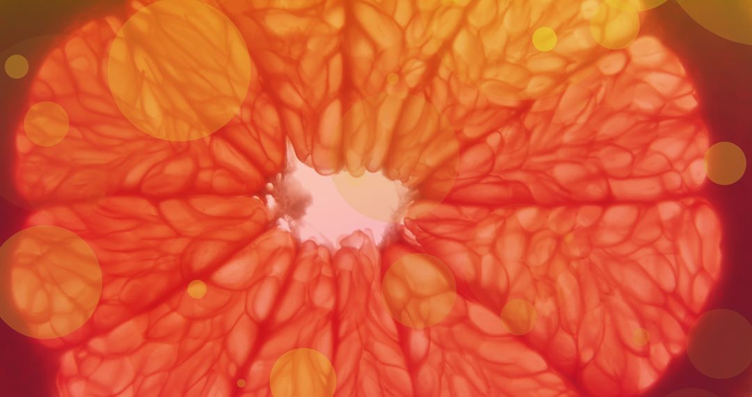 Vibrant Grapefruit Slice with Abstract Orange Circles