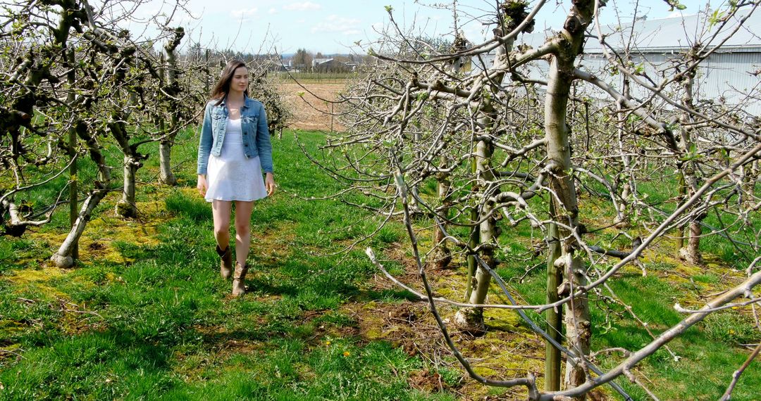 A woman enjoys a tranquil walk in a blooming orchard, heralding spring's arrival. - Free Images, Stock Photos and Pictures on Pikwizard.com