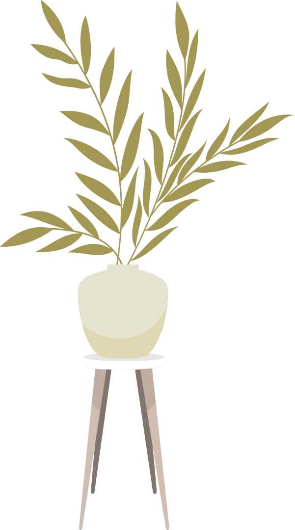 Minimalist Houseplant with Olive Green Leaves on Transparent Background