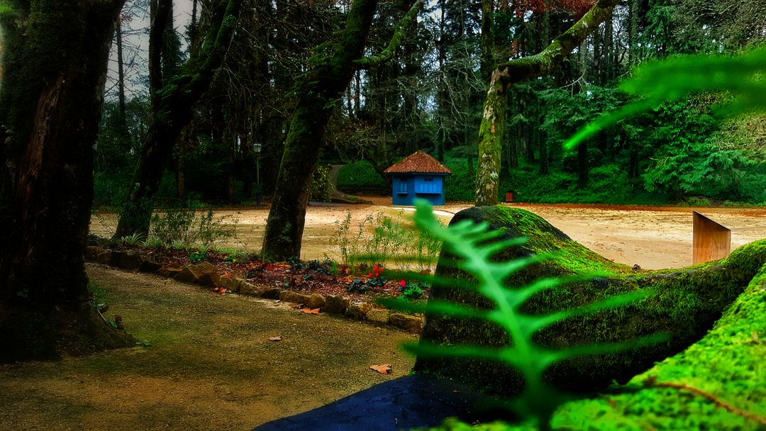 Serene Forest Path with Moss-covered Trees and Blue Cottage - Free Images, Stock Photos and Pictures on Pikwizard.com