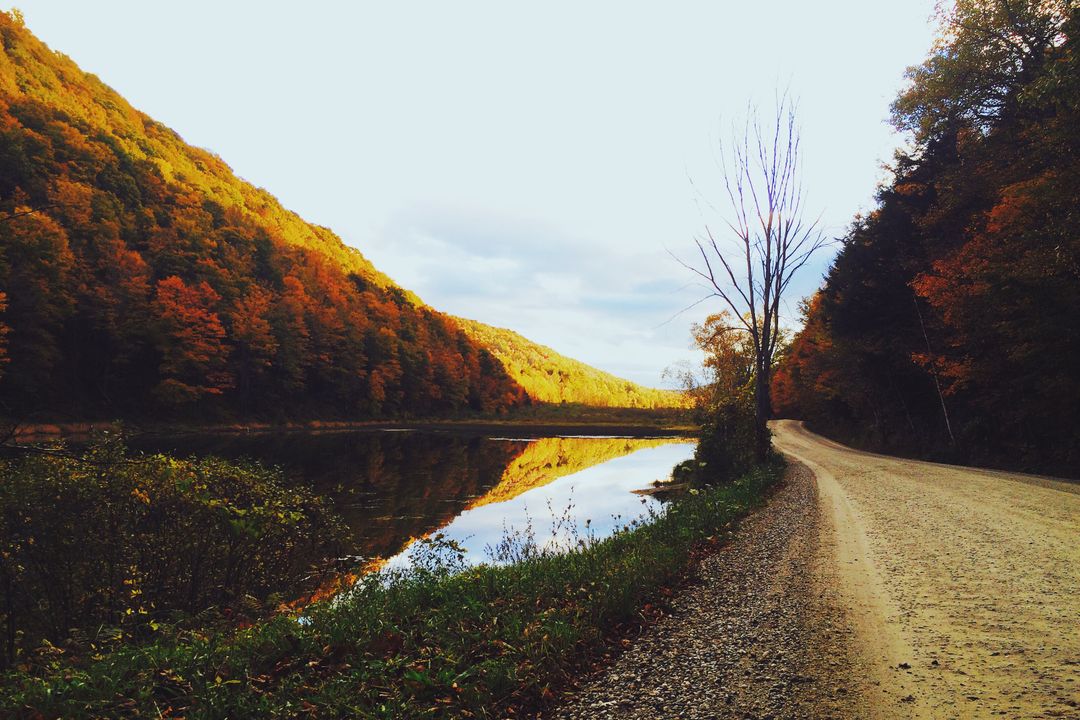 Scenic Autumn Landscape with Dirt Road by Riverside at Sunset - Free Images, Stock Photos and Pictures on Pikwizard.com