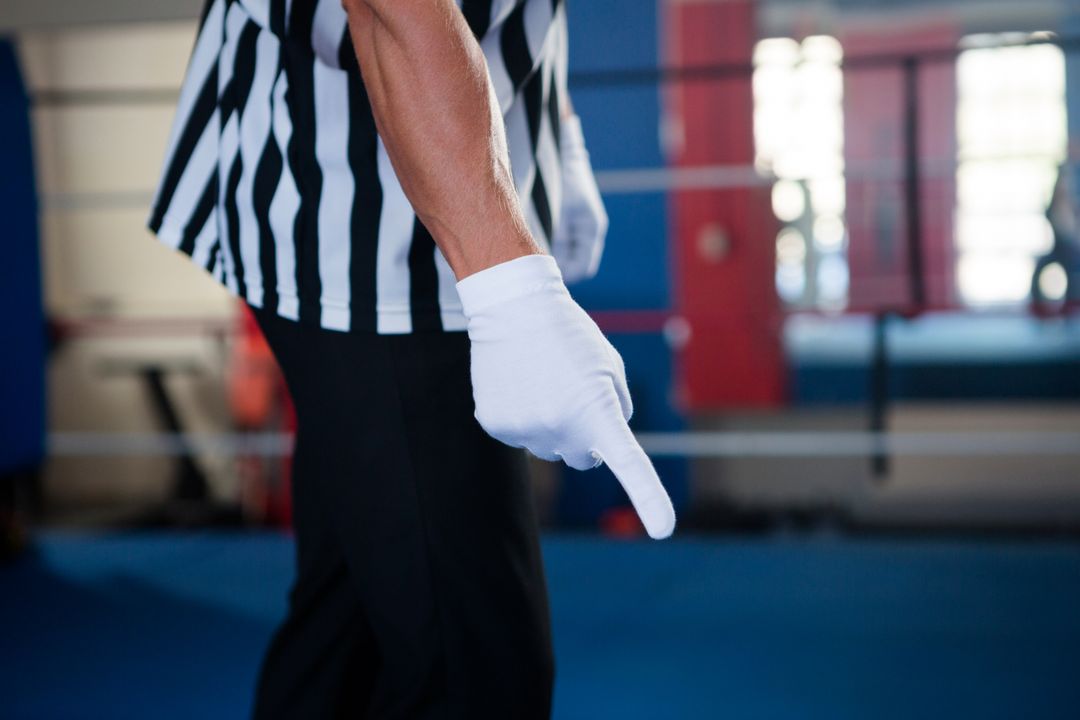 Referee Pointing Down in Boxing Ring - Free Images, Stock Photos and Pictures on Pikwizard.com