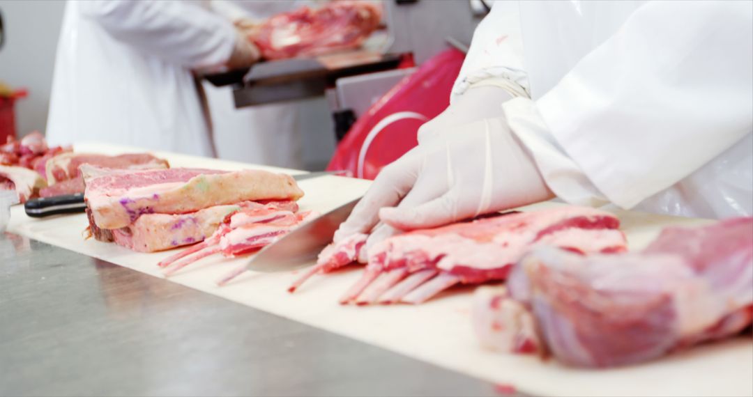 Butchers Cutting Meat on a Clean Metal Countertop - Free Images, Stock Photos and Pictures on Pikwizard.com