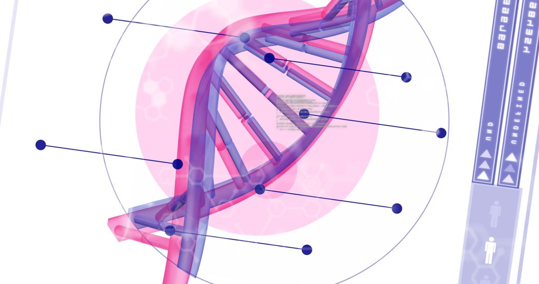 Digital Interface with Spinning DNA Science Visualization