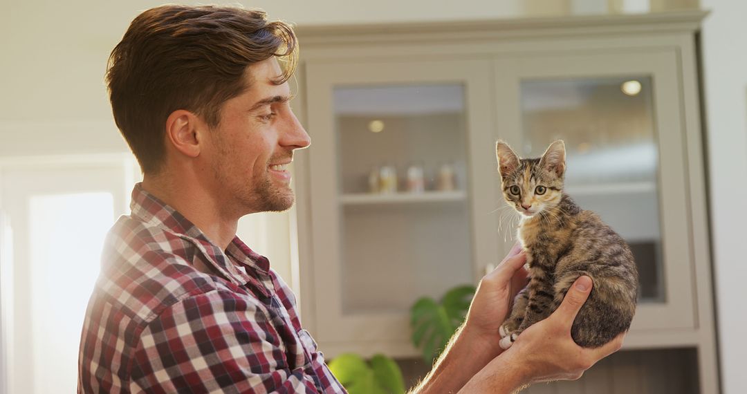 Smiling Man Admires Small Kitten in Bright Kitchen - Free Images, Stock Photos and Pictures on Pikwizard.com