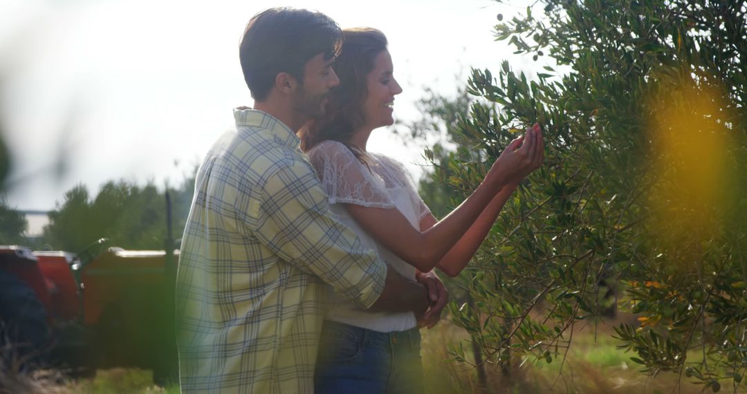 Couple Enjoying Romantic Olive Orchard Walk