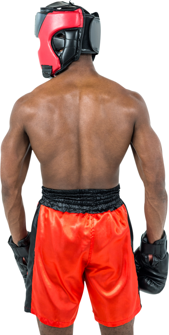 Rear View of Boxer in Red Gear with Transparent Background - Download Free Stock Images Pikwizard.com