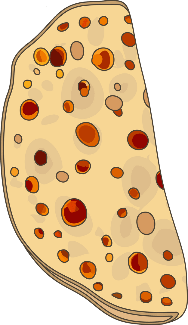 Stylized Ornamented Flatbread Slice on Transparent Background