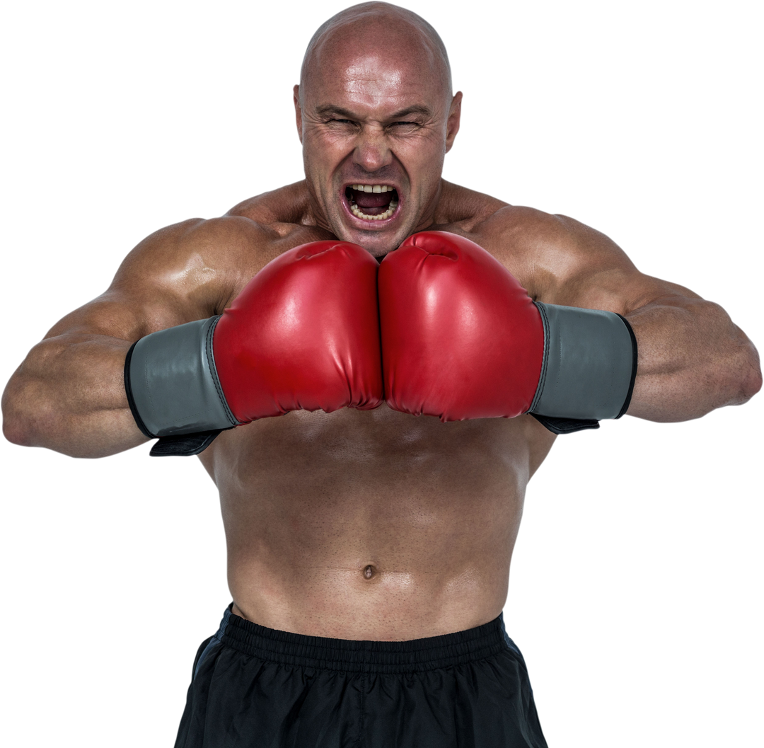 Aggressive Boxer Flexing Muscles with Transparent Background - Download Free Stock Images Pikwizard.com