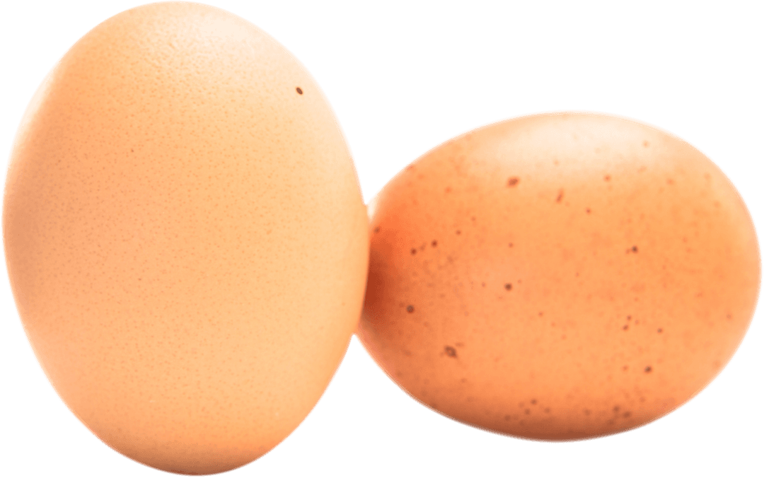 Close-up Transparent Brown Farm Fresh Eggs Isolated
