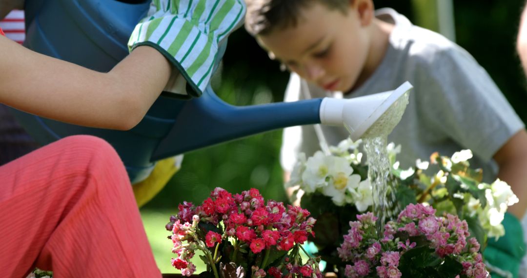 Child Gardening Outdoors, Watering Colorful Blossoms with Enthusiasm - Free Images, Stock Photos and Pictures on Pikwizard.com