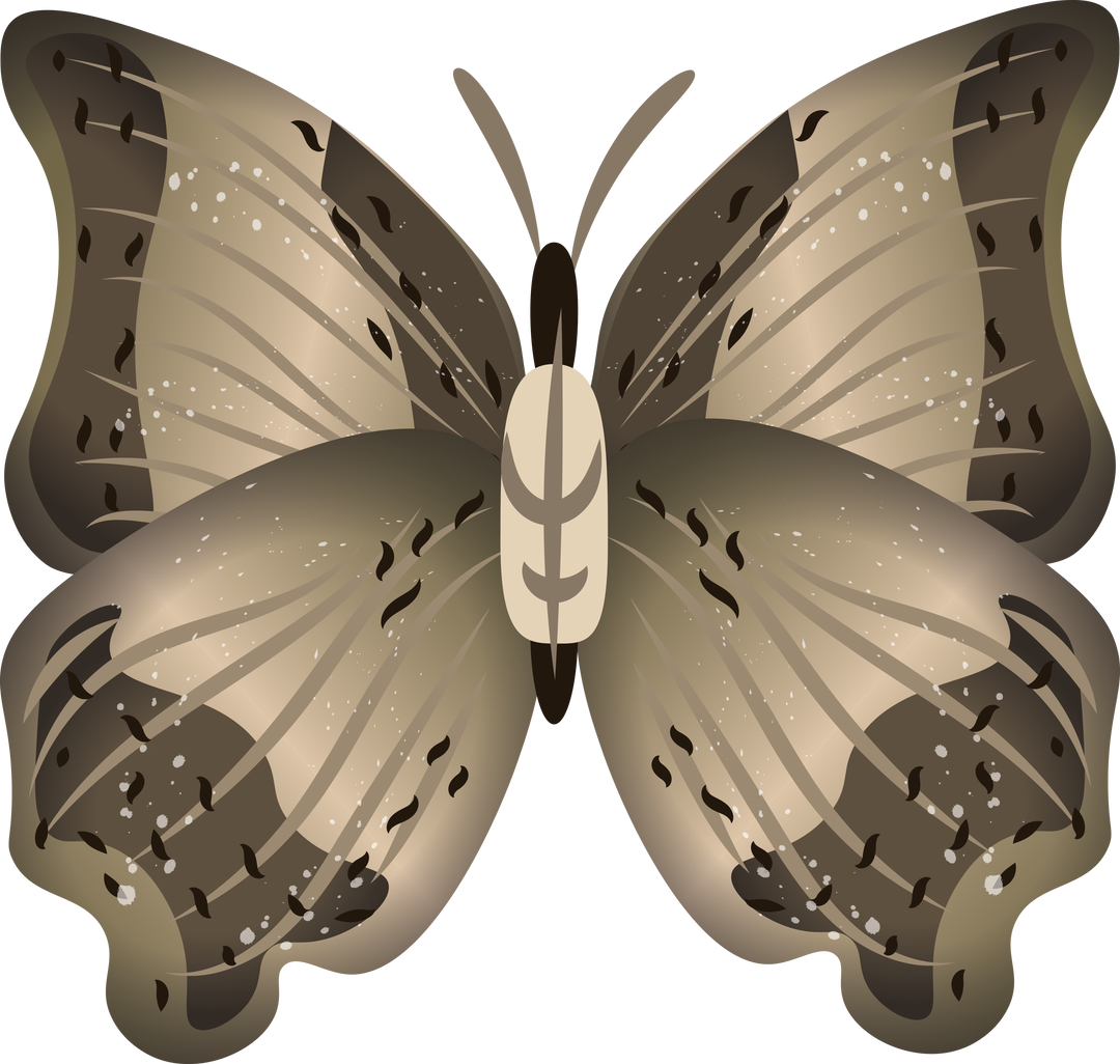 Digital Vector Illustration of Brown Moth on Transparent Background Isolated - Download Free Stock Images Pikwizard.com