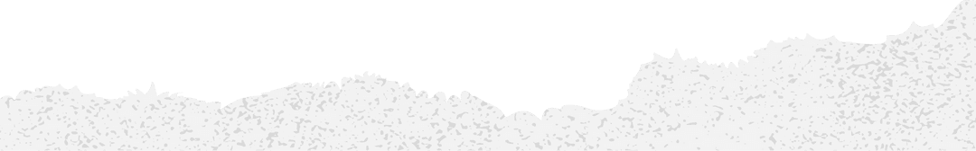 Torn Paper Border with Textured Cutout on Transparent Background