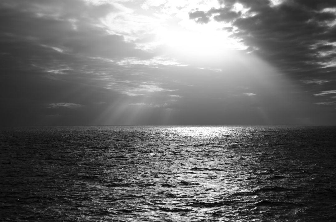 Calm Sea Under Sun in Grayscale Photography - Free Images, Stock Photos and Pictures on Pikwizard.com