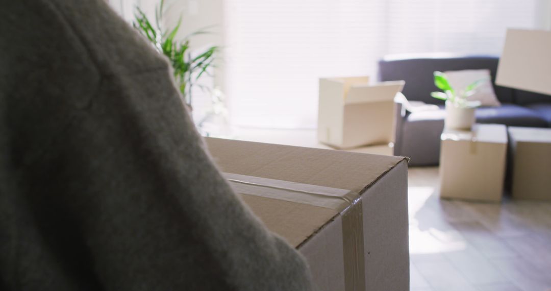 Person carrying cardboard box during moving process in new home - Free Images, Stock Photos and Pictures on Pikwizard.com