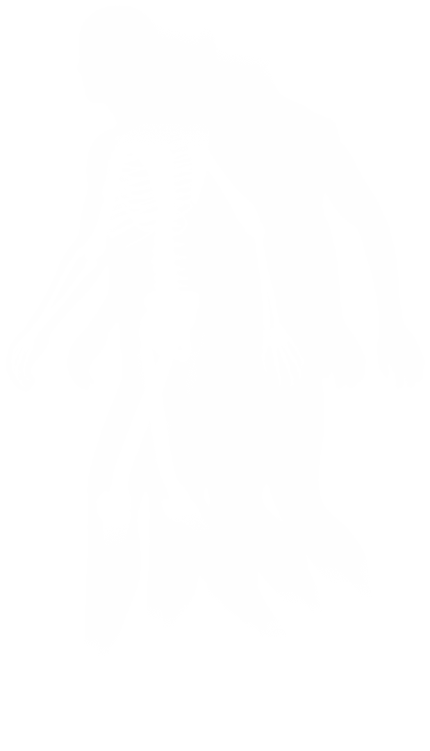 Digital Human X-Ray Silhouette on Transparent Background