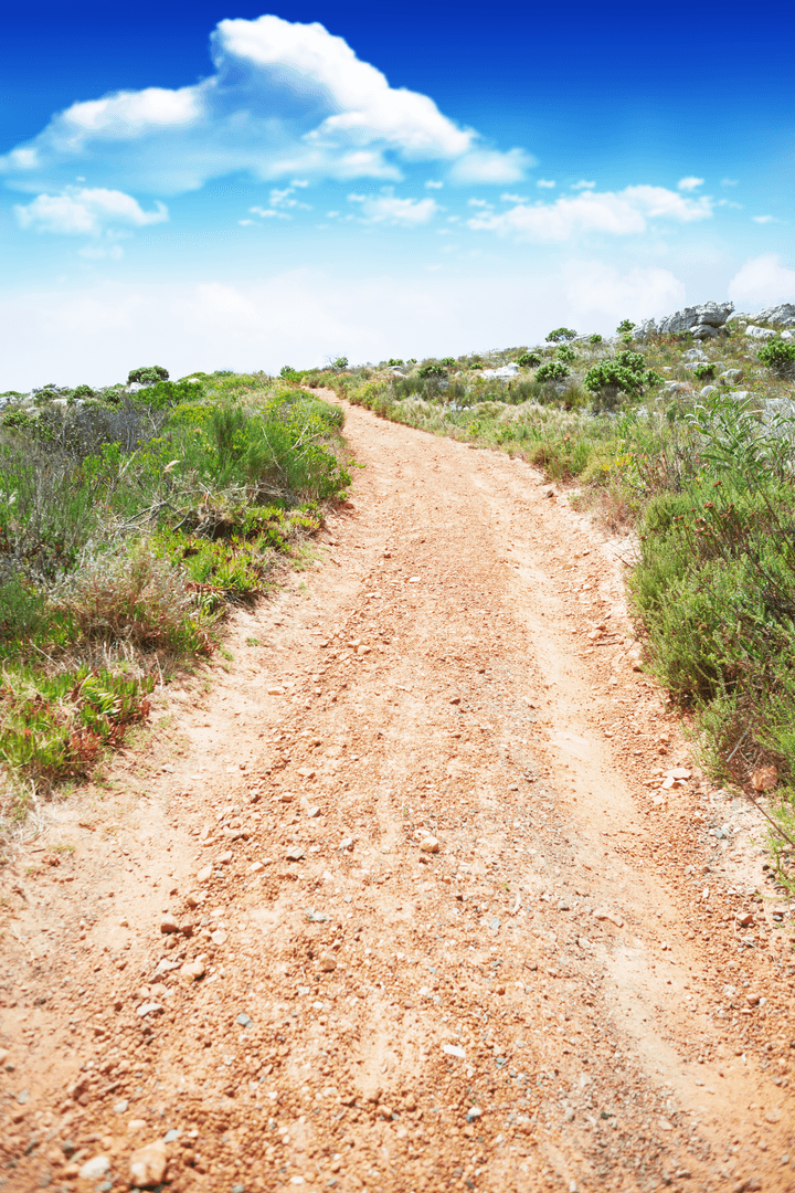 Transparent Rural Road Under Vibrant Blue Sky