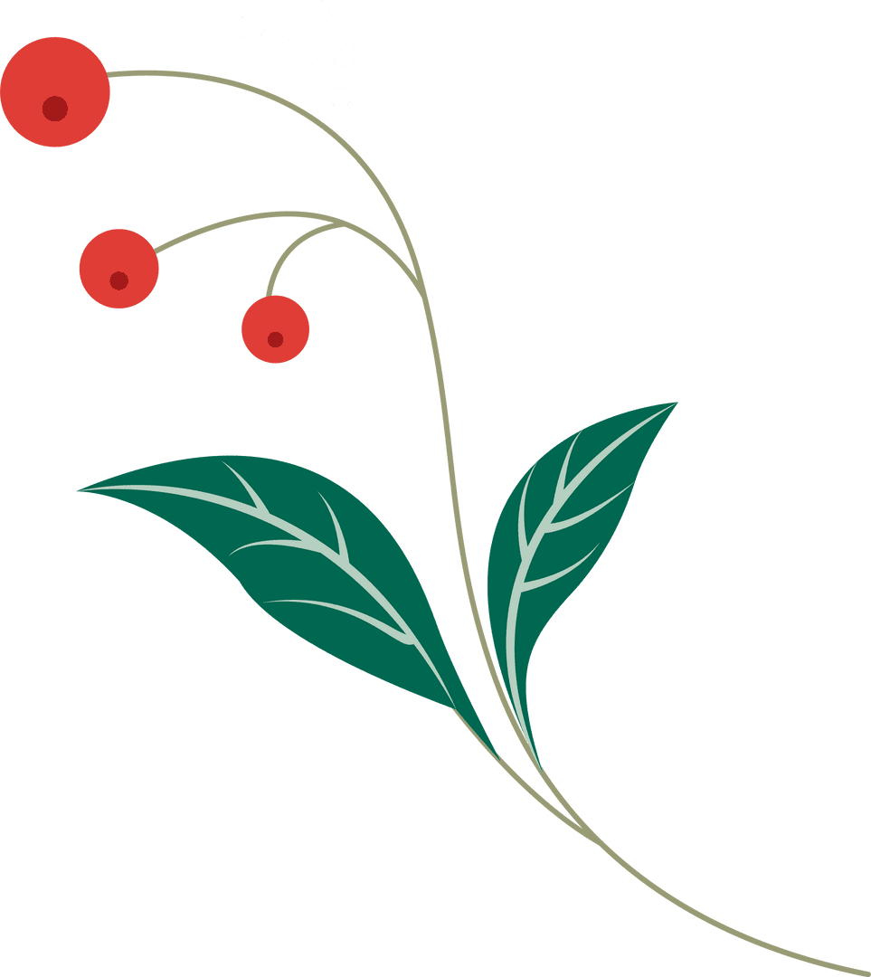 Flat Botanical Sprig Transparent Background with Green Leaves Red Berries