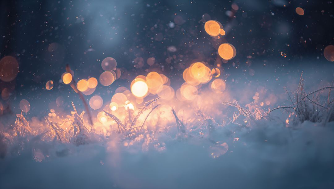 Frost-covered grass glowing with warm amber bokeh at twilight, winter macro background
