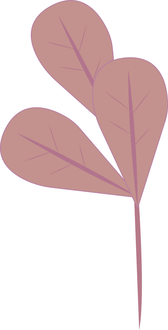 Stylized Botanical Branch with Heart-Shaped Leaves on Transparent Background