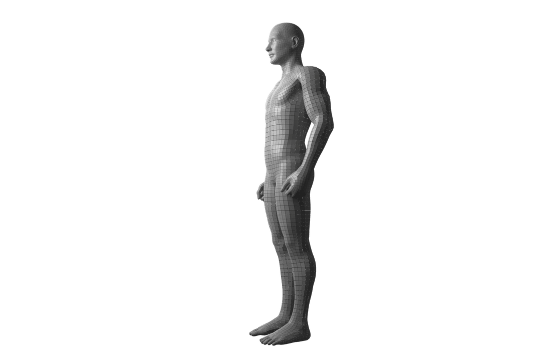 Transparent 3D Male Model Wireframe Side View Illustration