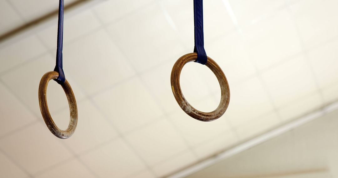 Gymnastic Rings Hanging in Indoor Gymnasium - Free Images, Stock Photos and Pictures on Pikwizard.com