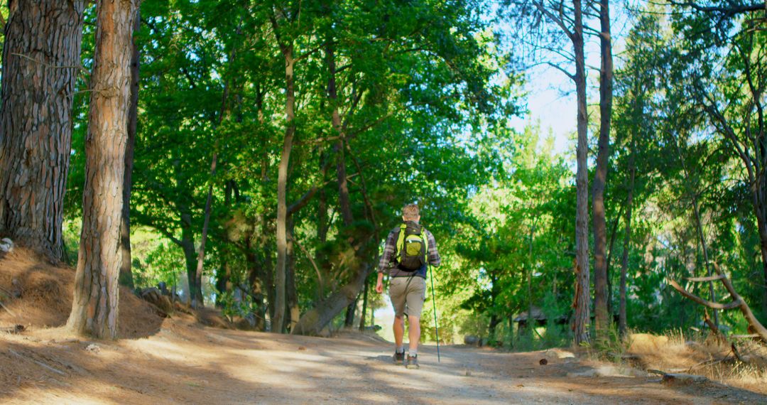 Man Hiking With Backpack in Beautiful Forest Trail