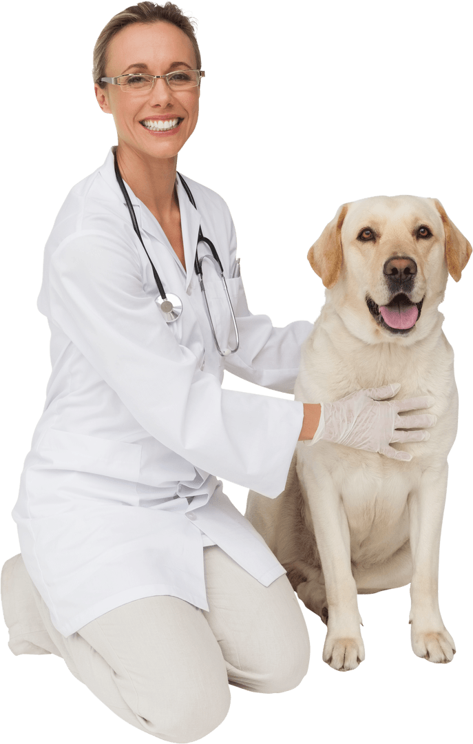 Transparent Smiling Veterinarian with Labrador Dog
