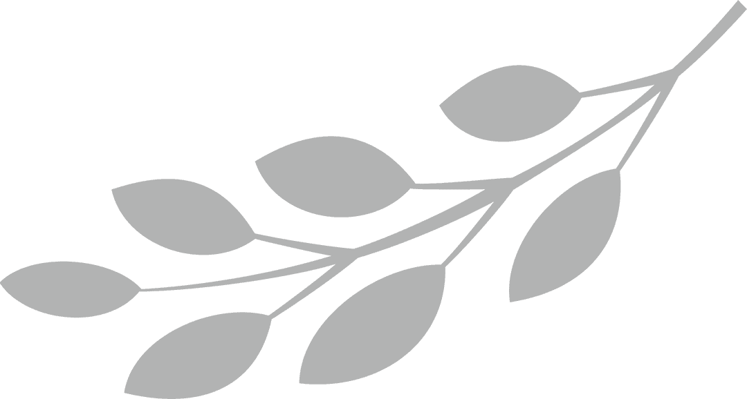 Elegant Botanical Branch Silhouette on Transparent Background