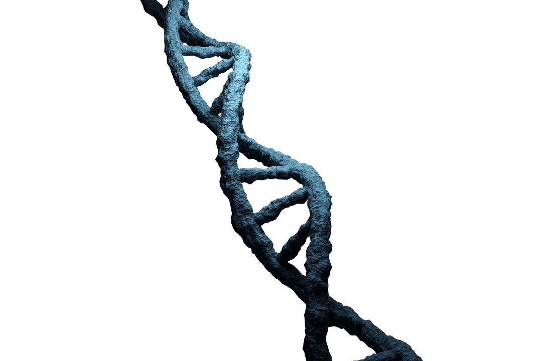Blue DNA Chain on Transparent Background Highlighting Genetic Concepts