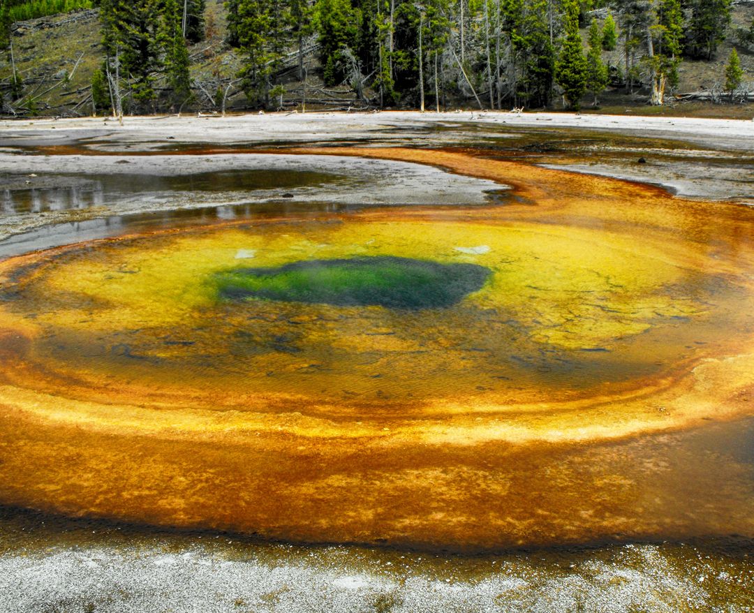 Vibrant Hot Spring with Multicolored Mineral Bands in Yellowstone National Park - Free Images, Stock Photos and Pictures on Pikwizard.com