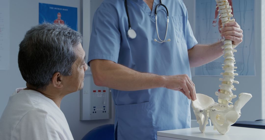 Doctor Explaining Spine Anatomy to Elderly Patient in Medical Office - Free Images, Stock Photos and Pictures on Pikwizard.com