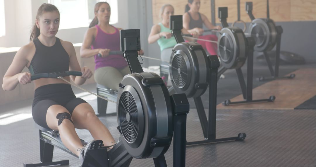 Group of Women Rowing in Gym Focused on Fitness and Endurance - Free Images, Stock Photos and Pictures on Pikwizard.com