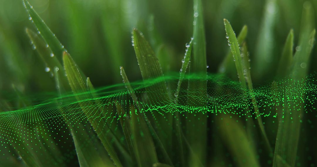 Dewy Grass Blades with Floating Green Particle Wave