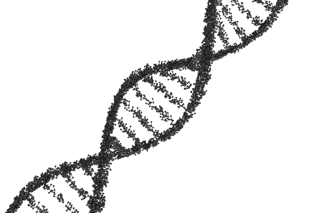 Transparent Vector of Black DNA Strand Structure Isolated