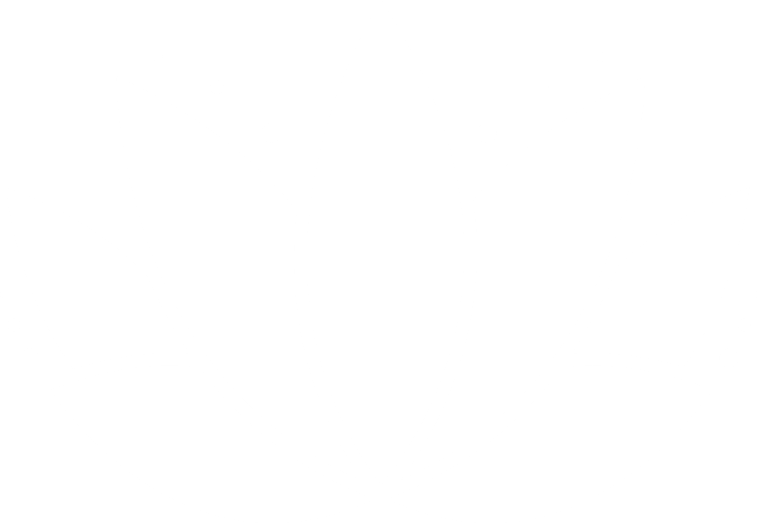 White Lotus Flower Illustration on Transparent Background