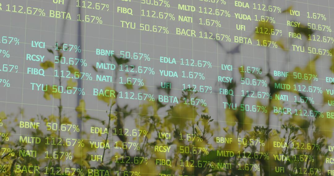 Technology and Nature Fusion: Stock Data Over Meadow Imagery